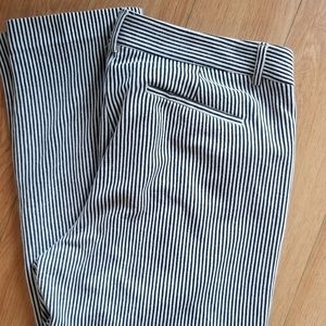 Express Columnist Pant